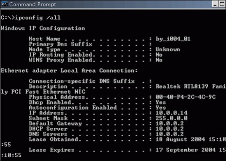 Command Prompt of ‘ipconfig/all’ Preview